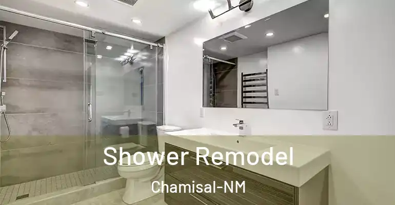 inner Bathroom imggen Shower Remodel Chamisal-NM