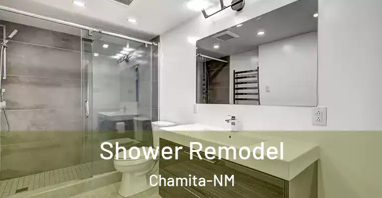 inner Bathroom imggen Shower Remodel Chamita-NM