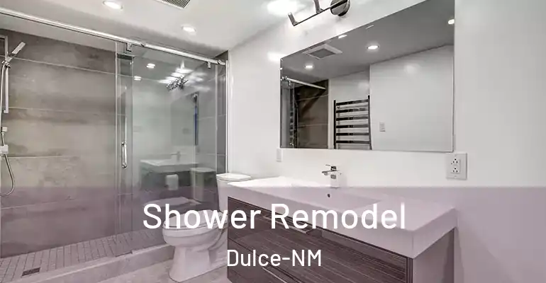 inner Bathroom imggen Shower Remodel Dulce-NM