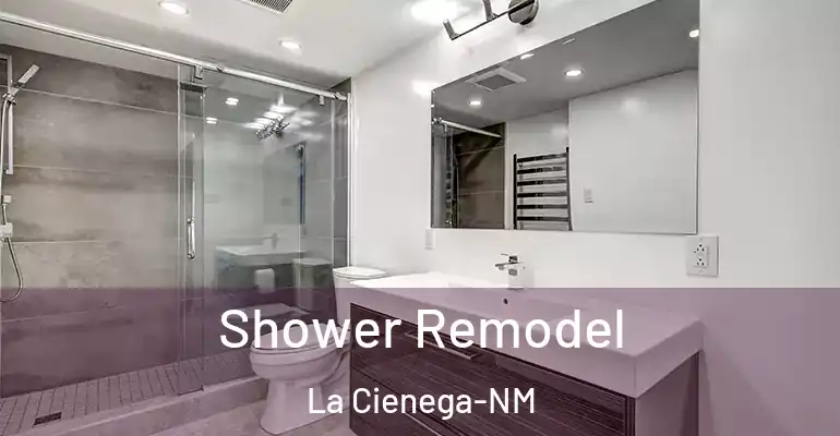 inner Bathroom imggen Shower Remodel La Cienega-NM