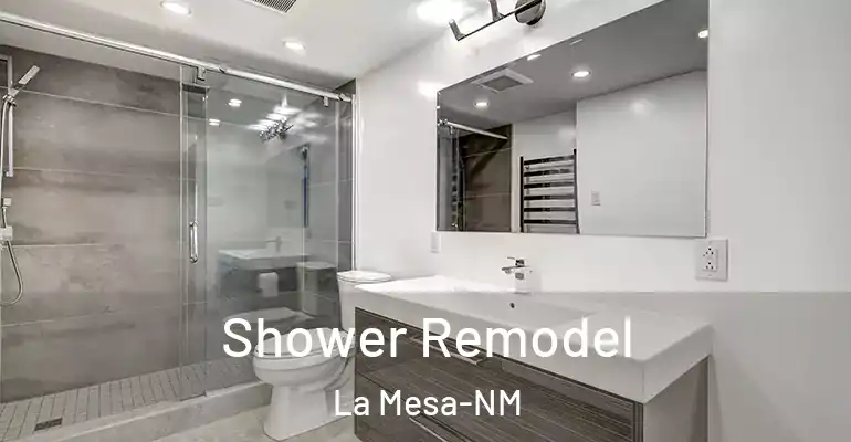 inner Bathroom imggen Shower Remodel La Mesa-NM