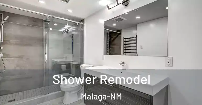 inner Bathroom imggen Shower Remodel Malaga-NM