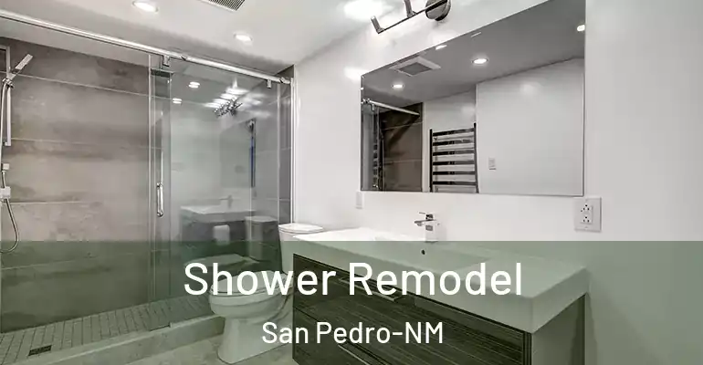 inner Bathroom imggen Shower Remodel San Pedro-NM