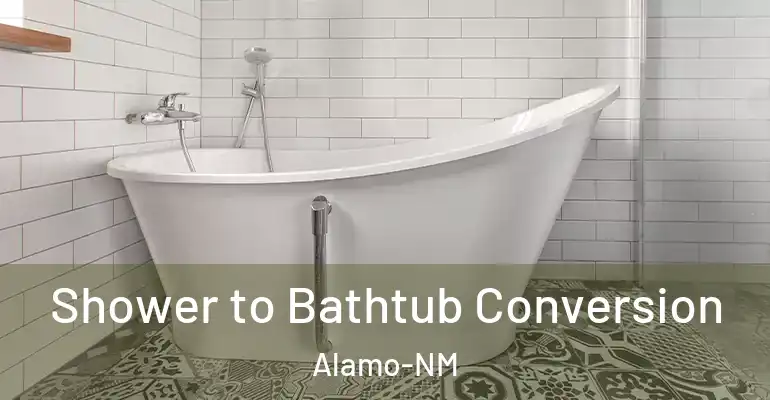 inner Bathroom imggen Shower to Bathtub Conversion Alamo-NM