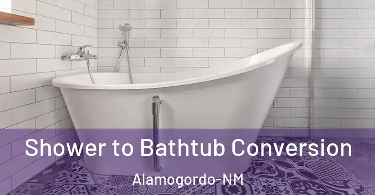 inner Bathroom imggen Shower to Bathtub Conversion Alamogordo-NM
