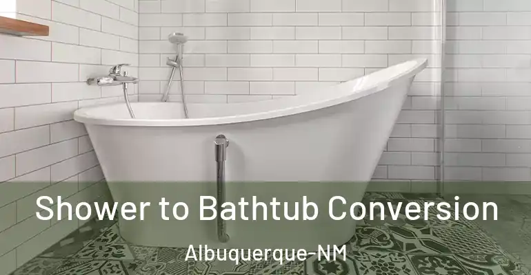 inner Bathroom imggen Shower to Bathtub Conversion Albuquerque-NM