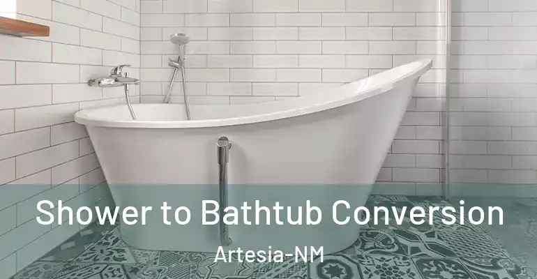 inner Bathroom imggen Shower to Bathtub Conversion Artesia-NM