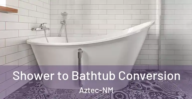 inner Bathroom imggen Shower to Bathtub Conversion Aztec-NM
