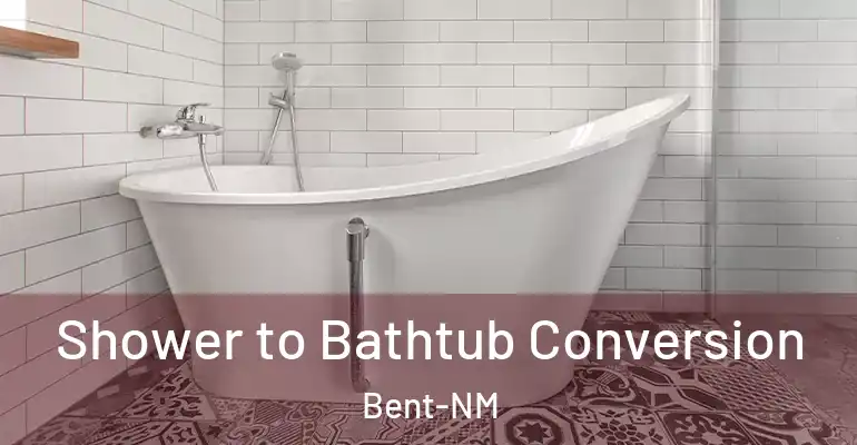 inner Bathroom imggen Shower to Bathtub Conversion Bent-NM