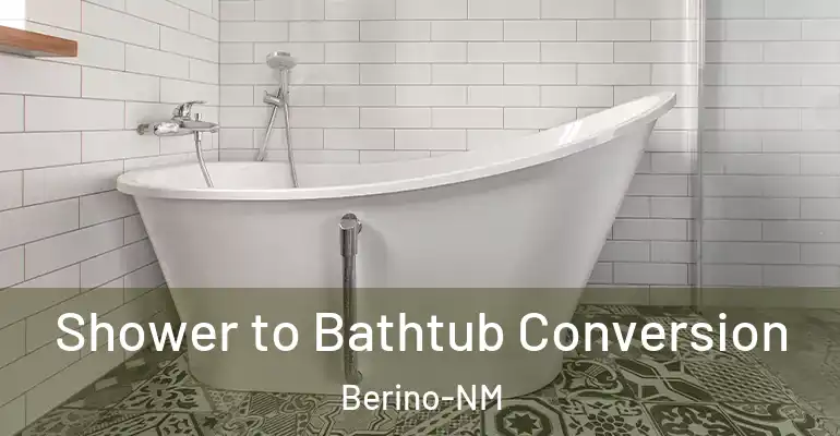 inner Bathroom imggen Shower to Bathtub Conversion Berino-NM