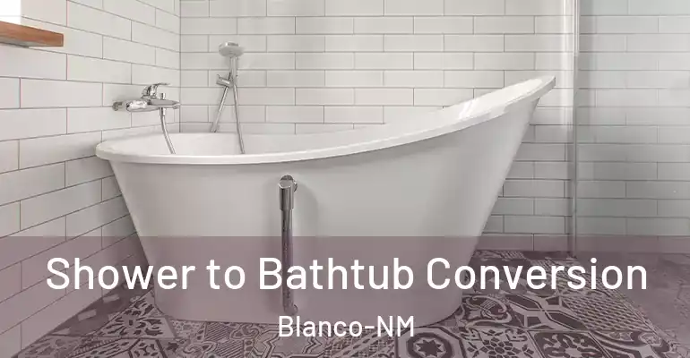 inner Bathroom imggen Shower to Bathtub Conversion Blanco-NM