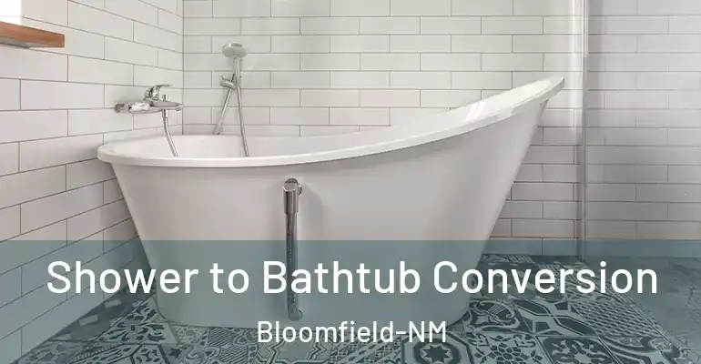 inner Bathroom imggen Shower to Bathtub Conversion Bloomfield-NM