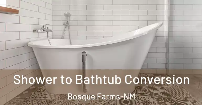 inner Bathroom imggen Shower to Bathtub Conversion Bosque Farms-NM