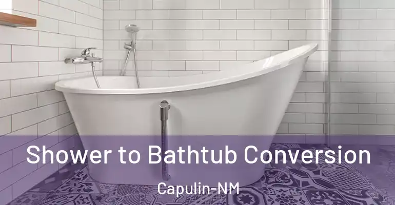 inner Bathroom imggen Shower to Bathtub Conversion Capulin-NM