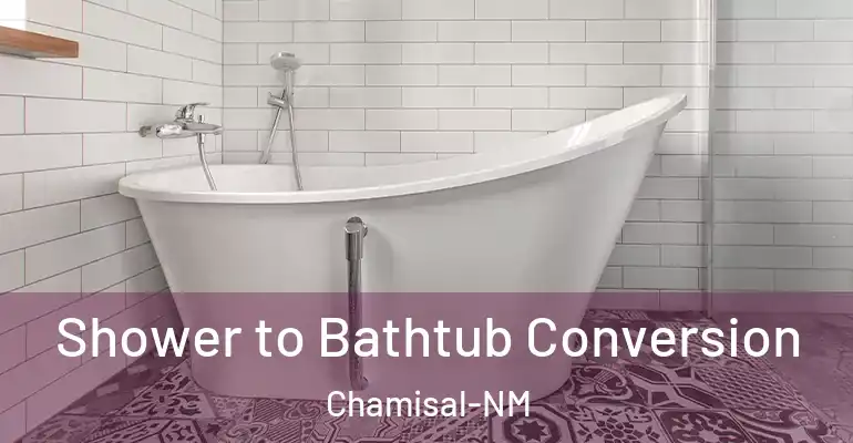 inner Bathroom imggen Shower to Bathtub Conversion Chamisal-NM