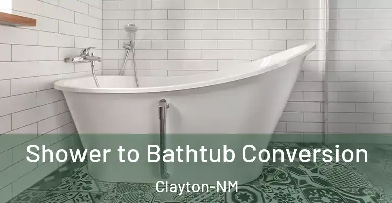 inner Bathroom imggen Shower to Bathtub Conversion Clayton-NM