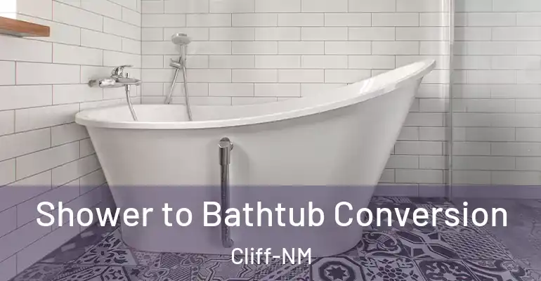 inner Bathroom imggen Shower to Bathtub Conversion Cliff-NM