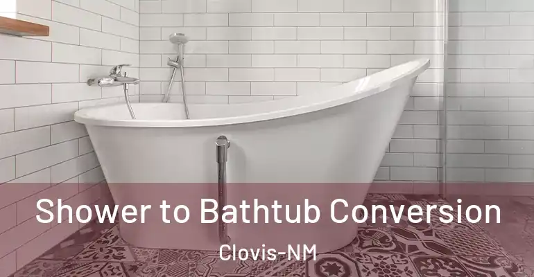 inner Bathroom imggen Shower to Bathtub Conversion Clovis-NM