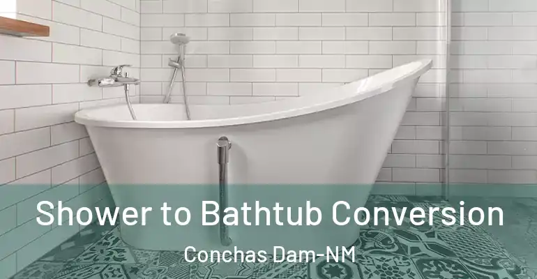 inner Bathroom imggen Shower to Bathtub Conversion Conchas Dam-NM
