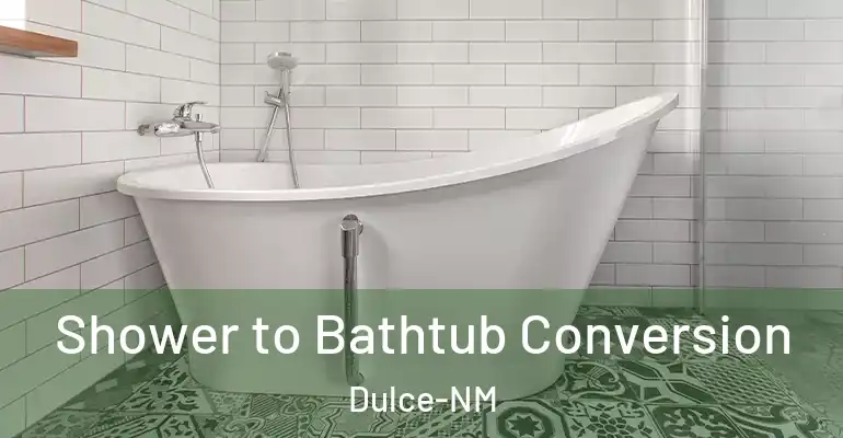 inner Bathroom imggen Shower to Bathtub Conversion Dulce-NM