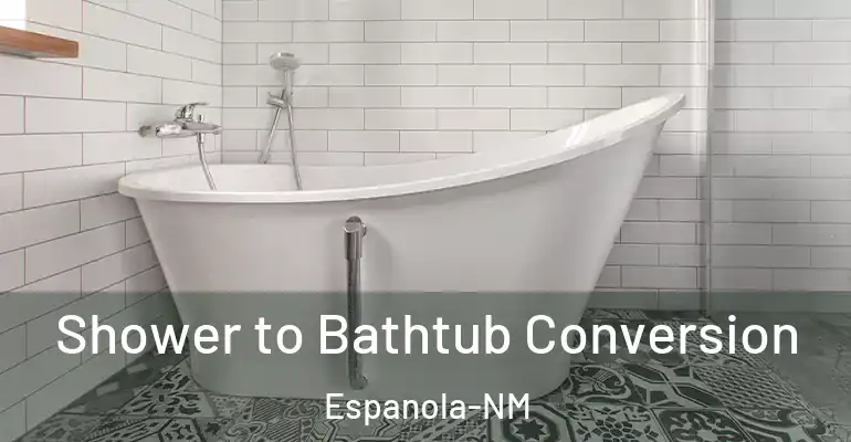 inner Bathroom imggen Shower to Bathtub Conversion Espanola-NM