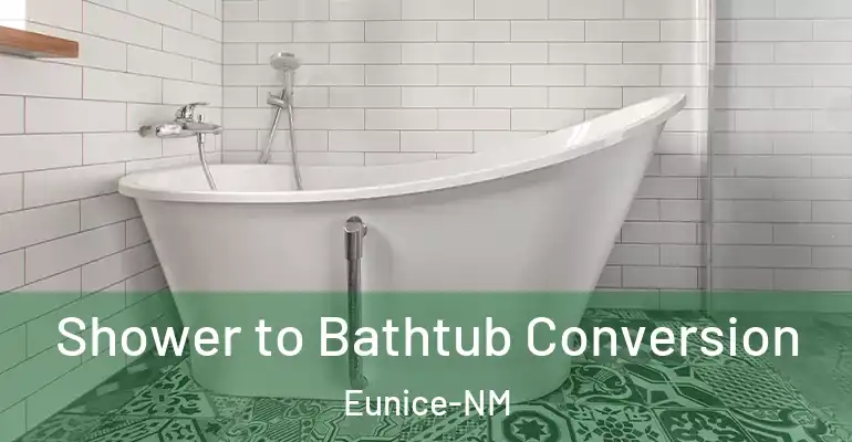 inner Bathroom imggen Shower to Bathtub Conversion Eunice-NM