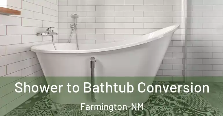 inner Bathroom imggen Shower to Bathtub Conversion Farmington-NM
