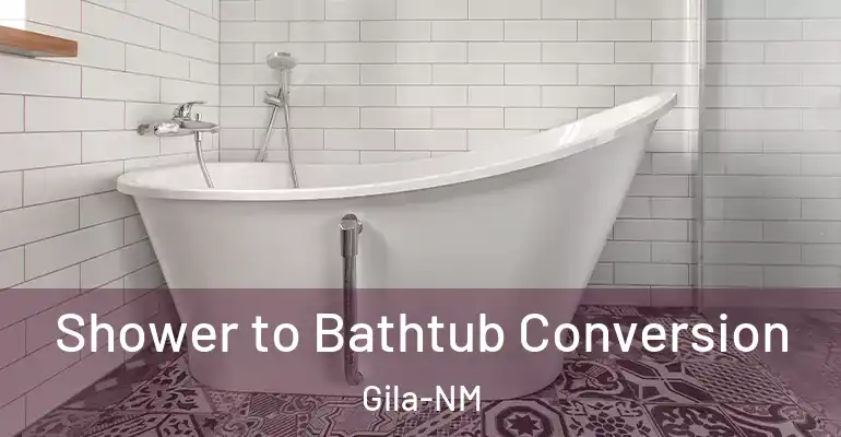 inner Bathroom imggen Shower to Bathtub Conversion Gila-NM