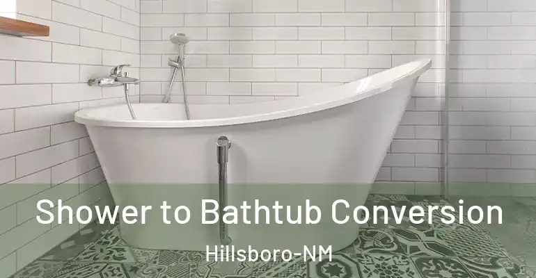inner Bathroom imggen Shower to Bathtub Conversion Hillsboro-NM