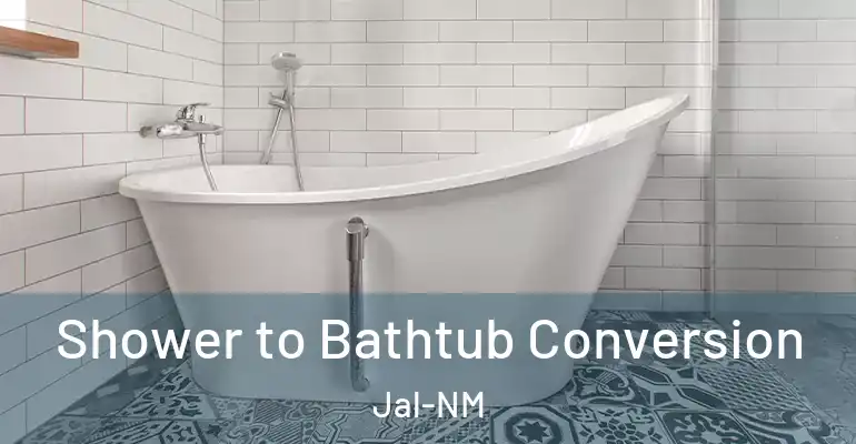 inner Bathroom imggen Shower to Bathtub Conversion Jal-NM