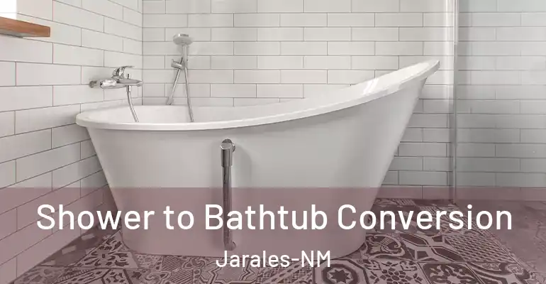 inner Bathroom imggen Shower to Bathtub Conversion Jarales-NM