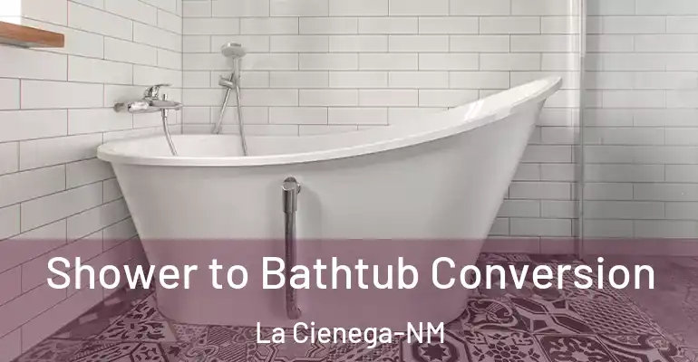 inner Bathroom imggen Shower to Bathtub Conversion La Cienega-NM