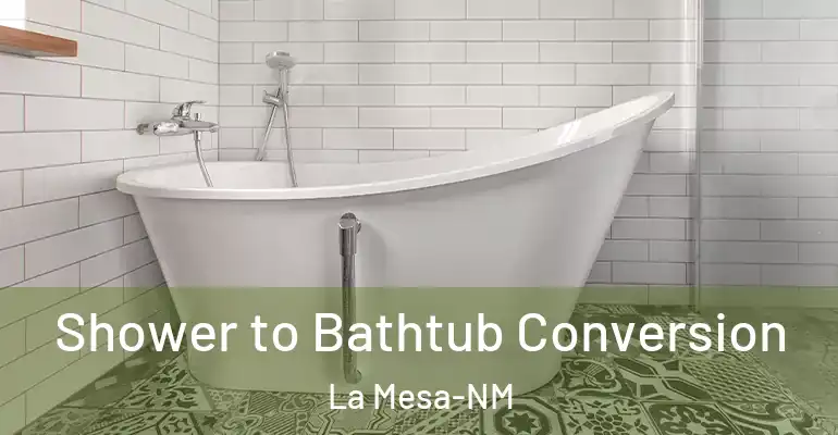 inner Bathroom imggen Shower to Bathtub Conversion La Mesa-NM
