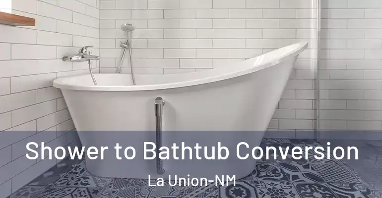 inner Bathroom imggen Shower to Bathtub Conversion La Union-NM