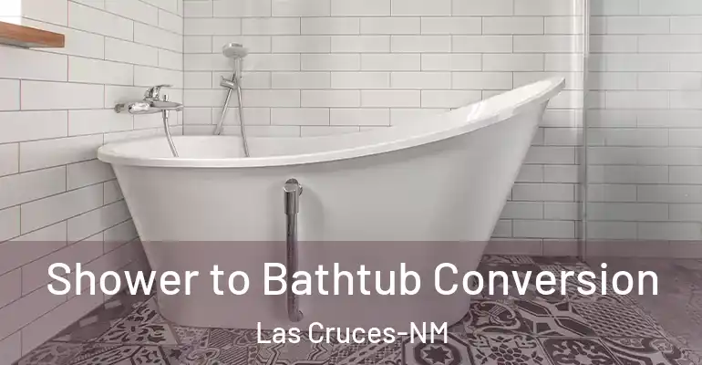 inner Bathroom imggen Shower to Bathtub Conversion Las Cruces-NM