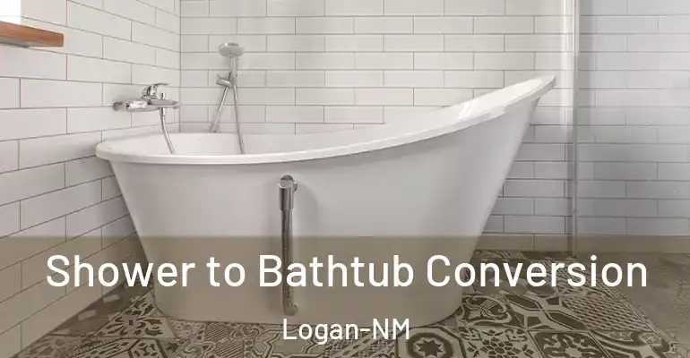 inner Bathroom imggen Shower to Bathtub Conversion Logan-NM