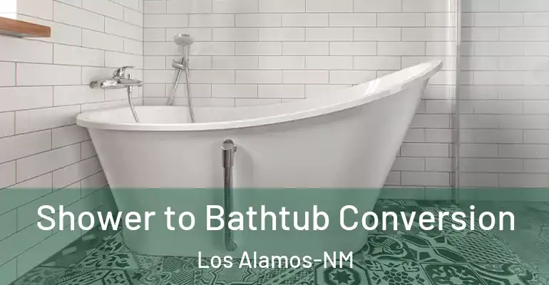 inner Bathroom imggen Shower to Bathtub Conversion Los Alamos-NM
