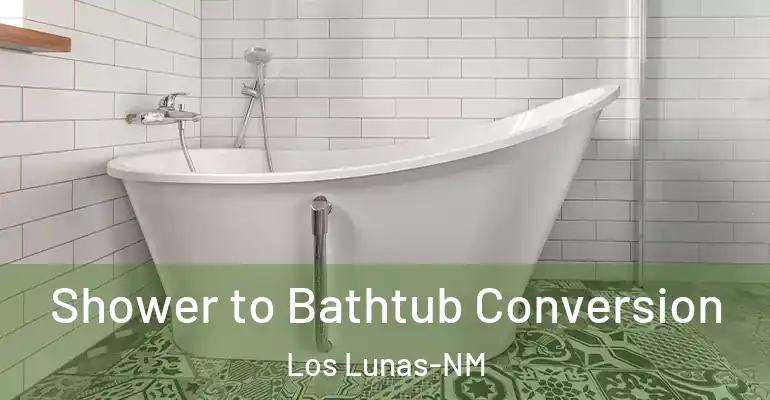 inner Bathroom imggen Shower to Bathtub Conversion Los Lunas-NM