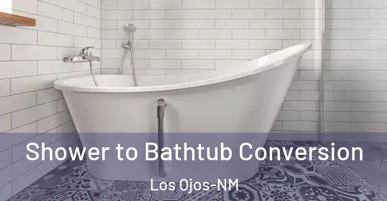 inner Bathroom imggen Shower to Bathtub Conversion Los Ojos-NM