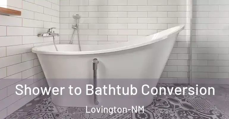 inner Bathroom imggen Shower to Bathtub Conversion Lovington-NM