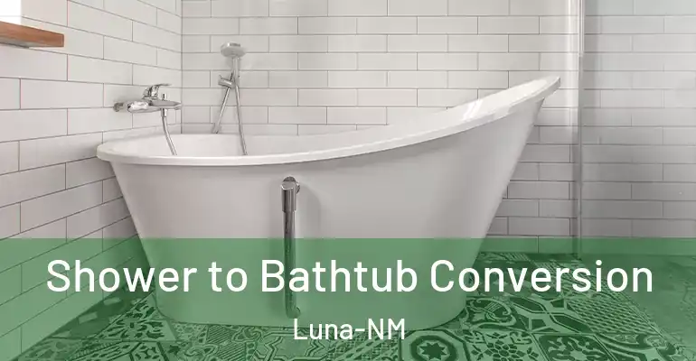 inner Bathroom imggen Shower to Bathtub Conversion Luna-NM
