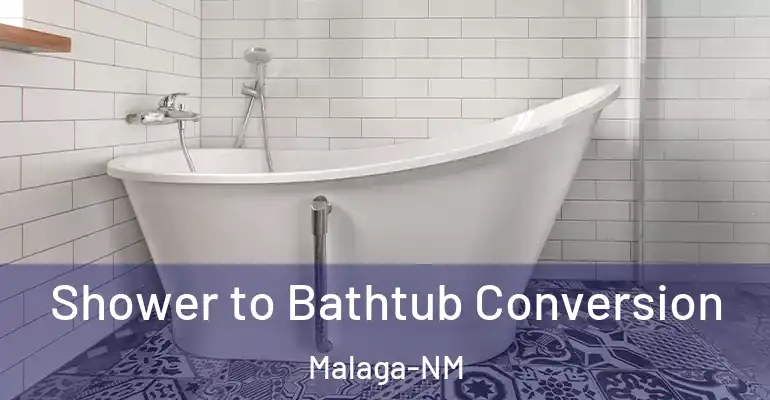 inner Bathroom imggen Shower to Bathtub Conversion Malaga-NM