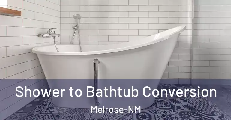 inner Bathroom imggen Shower to Bathtub Conversion Melrose-NM