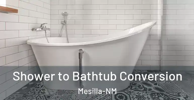 inner Bathroom imggen Shower to Bathtub Conversion Mesilla-NM