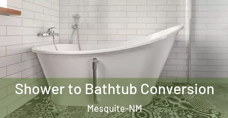 inner Bathroom imggen Shower to Bathtub Conversion Mesquite-NM