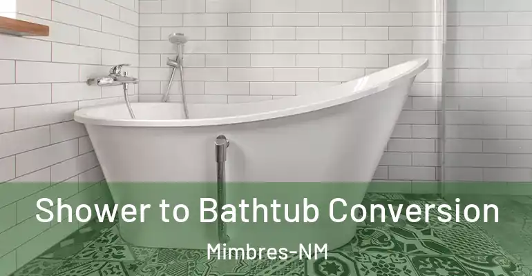 inner Bathroom imggen Shower to Bathtub Conversion Mimbres-NM
