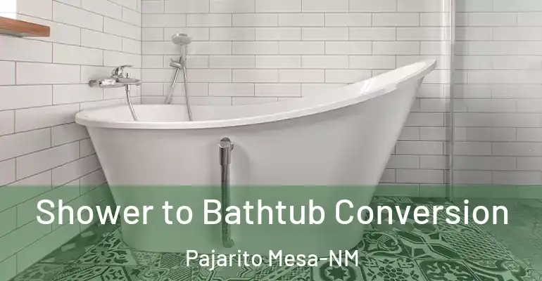 inner Bathroom imggen Shower to Bathtub Conversion Pajarito Mesa-NM