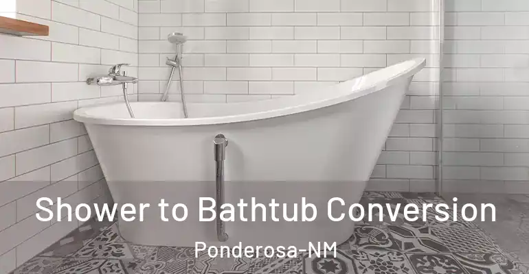 inner Bathroom imggen Shower to Bathtub Conversion Ponderosa-NM