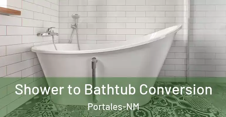 inner Bathroom imggen Shower to Bathtub Conversion Portales-NM