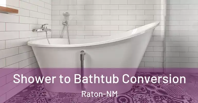 inner Bathroom imggen Shower to Bathtub Conversion Raton-NM